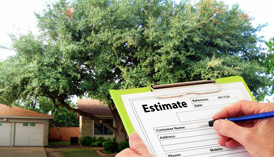 tree service estimate